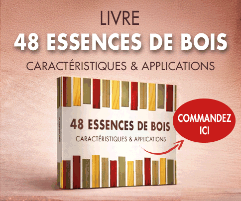 RECTANGLE BOEK 48 HOUTSOORTEN 