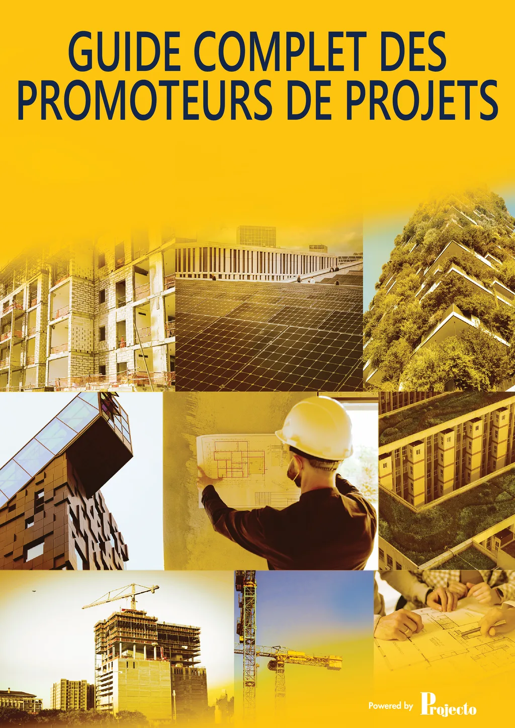 Cover image for GUIDE COMPLET DES PROMOTEURS DE PROJETS