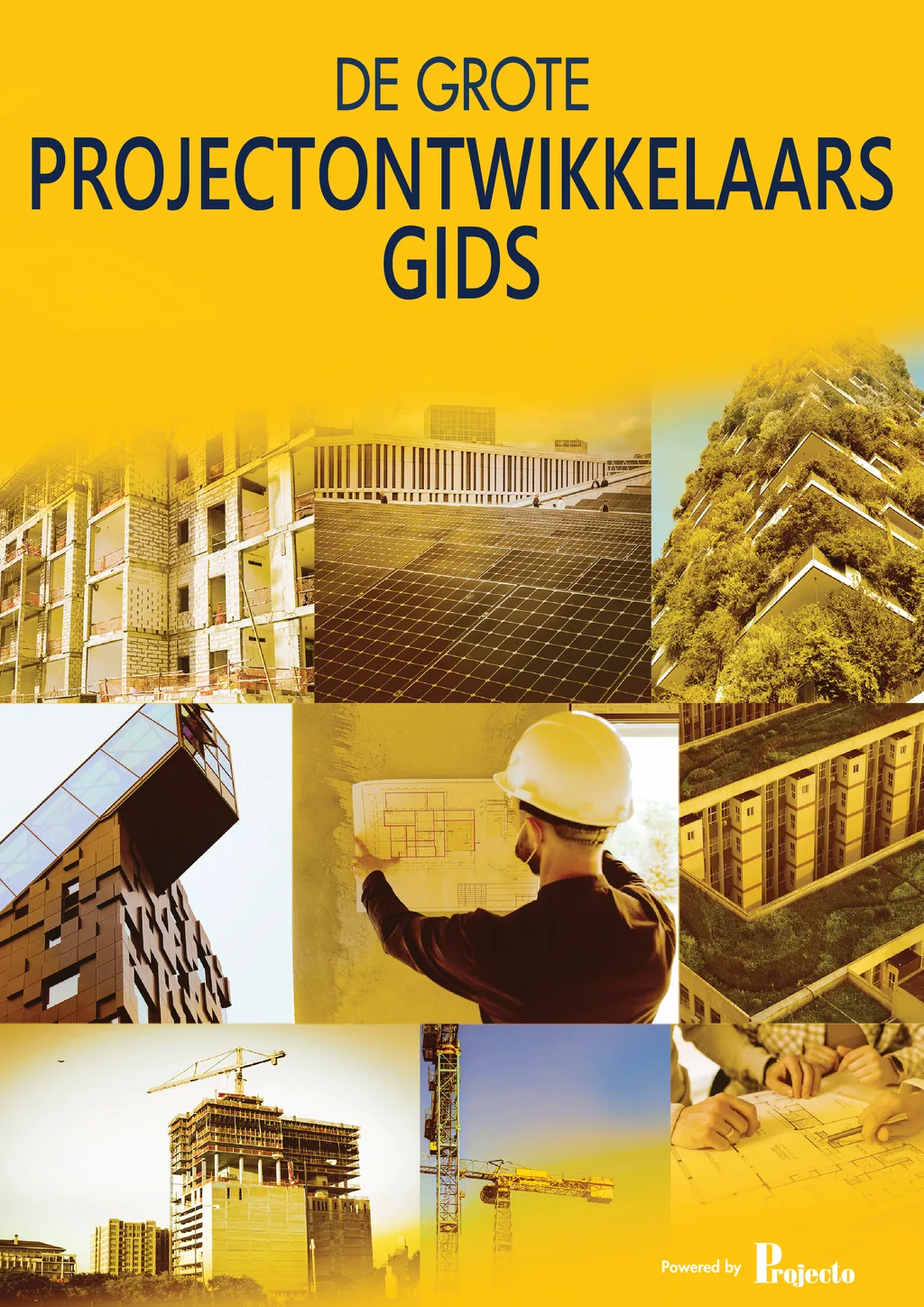 Cover image for De Grote PROJECTONTWIKKELAARSGIDS