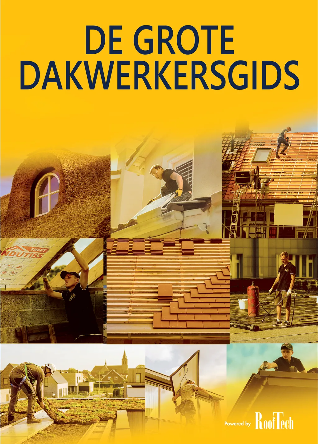 Cover image for De Grote DAKWERKERSGIDS