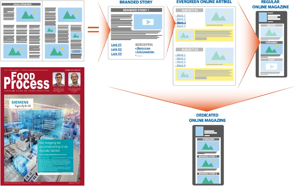 Print & Online Campagne