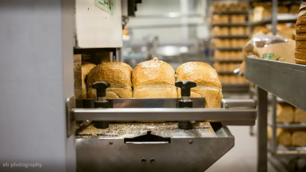 brood