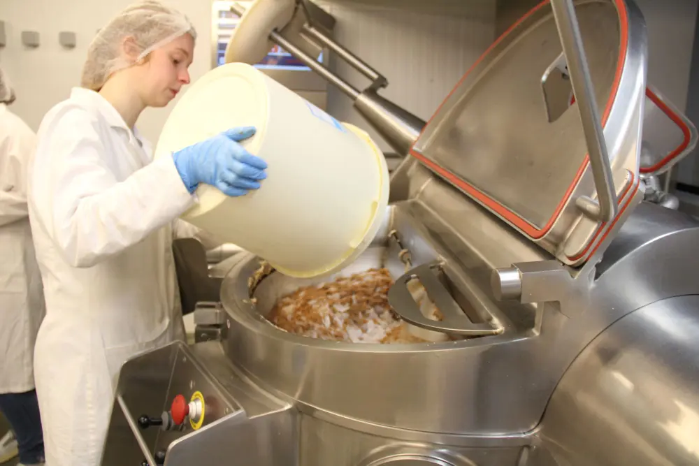 Dans les viandes hybrides, les prot&eacute;ines animales sont remplac&eacute;es par des prot&eacute;ines v&eacute;g&eacute;tales