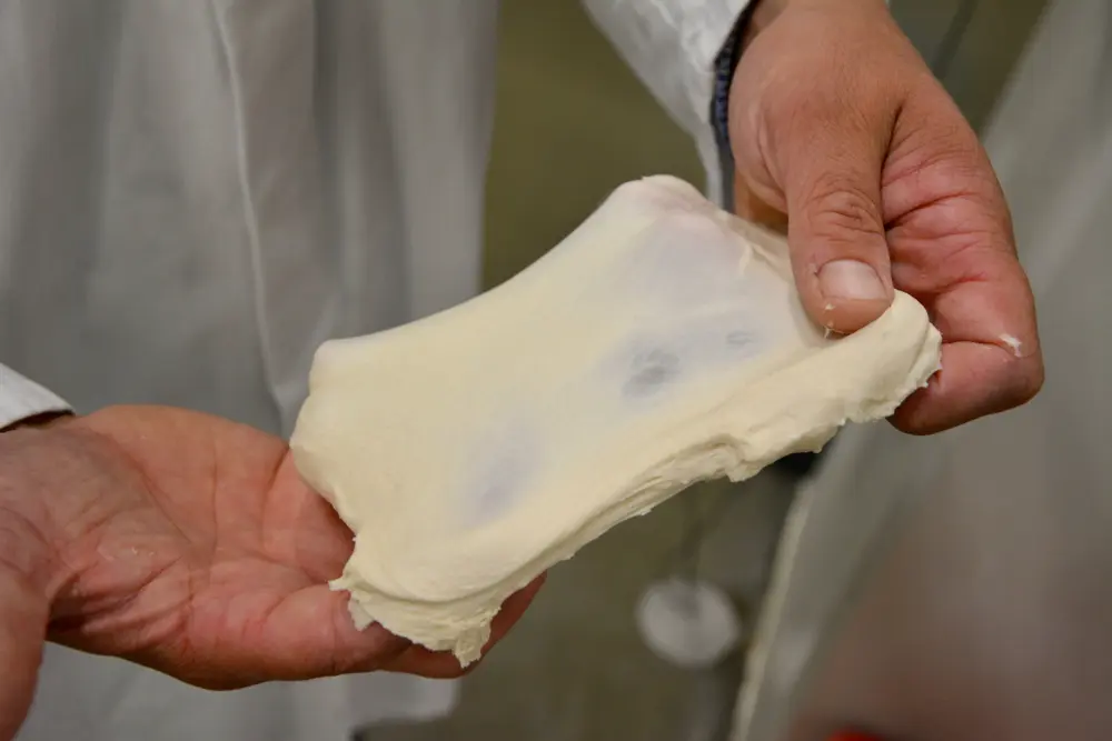 "Met onze meetmethoden, gevalideerd door bakkers, hebben we de kwaliteitscheck van het deeg uit handen kunnen nemen"