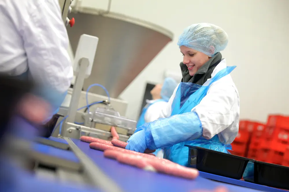 Dekeyzer-Ossaer, Koekelare