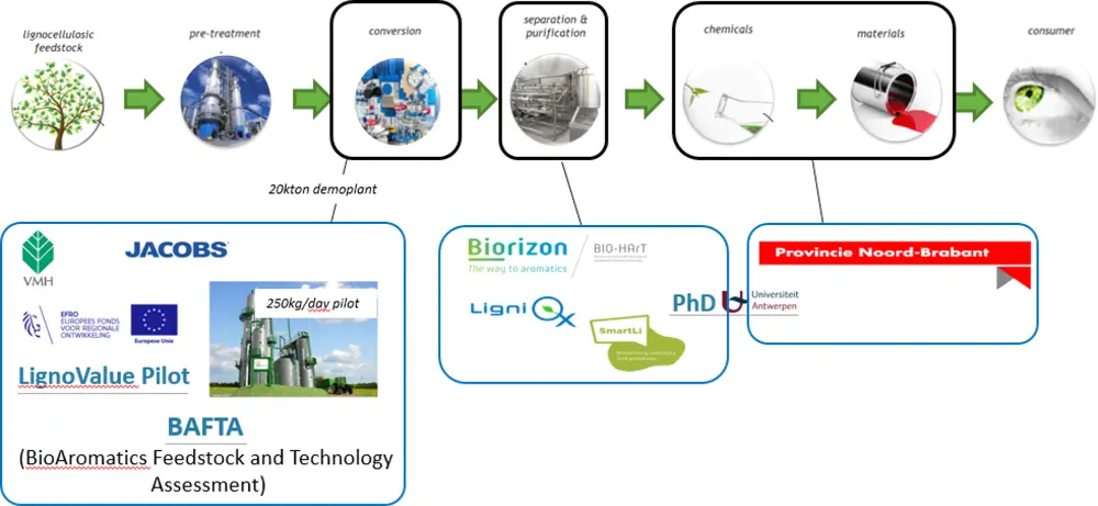 Schematic representation of the wood/lignin-to-aromatics value chain including some of the national and European projects in which VITO is involved