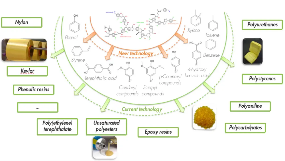 Valuable bio-based aromatic building blocks and polymers obtainable from lignin (adapted from Isikgor et al.)