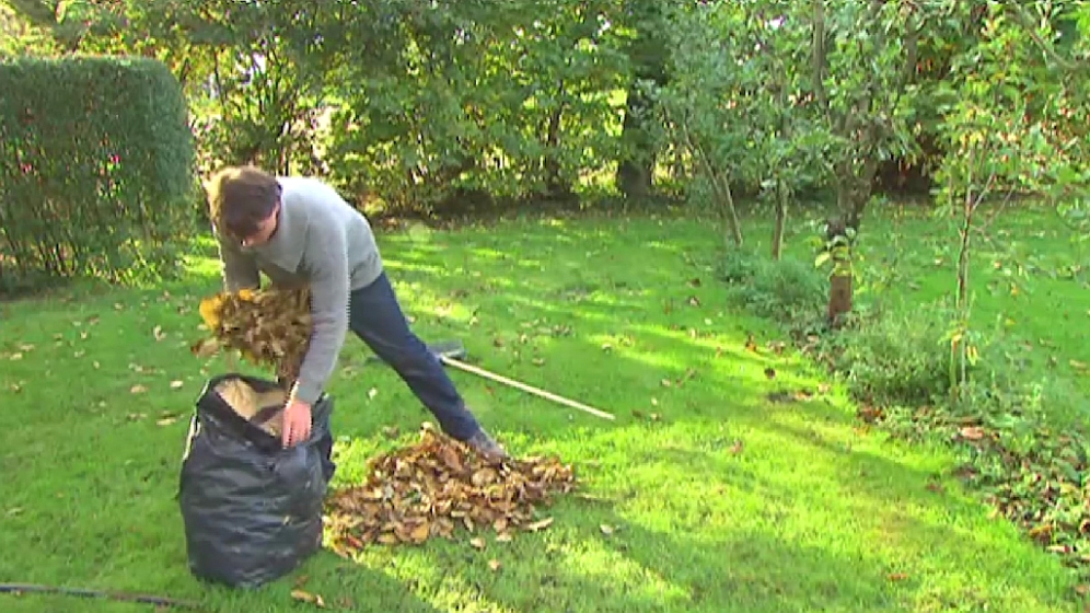 déchets de feuilles