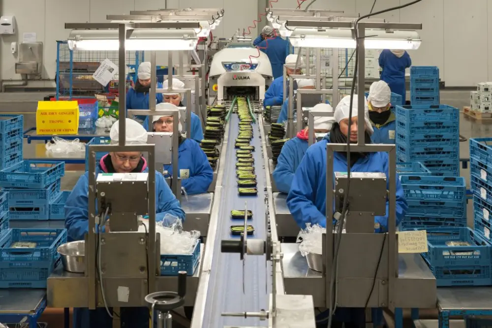 Voor de operaties in Meer kan het bedrijf rekenen op 160 vaste medewerkers