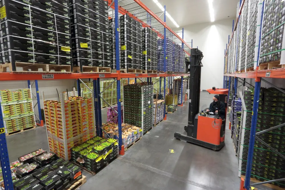 Dans les chambres de maturation de plusieurs mètres de haut, l'entreprise stocke  ses variétés de fruits et légumes étrangères pour les exporter prêtes à consommer