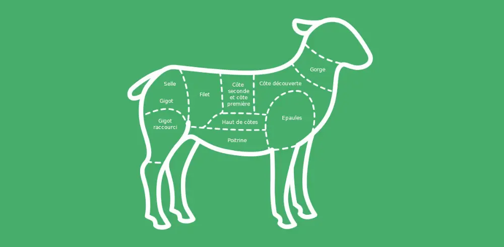 Lamsvlees agneau découpe