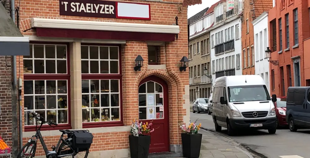staelyzer