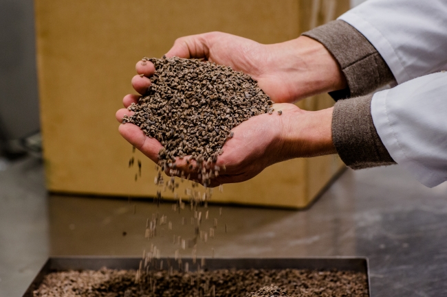 Chocolade zonder grenzen