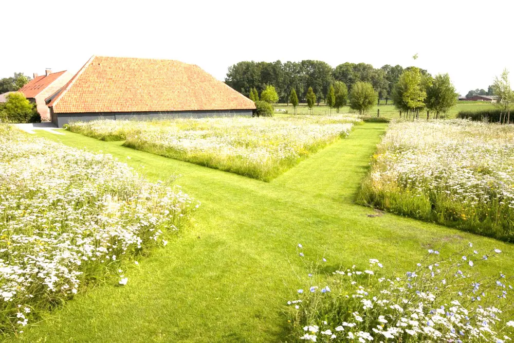 Bloemenweides vragen een aangepast maaibeleid