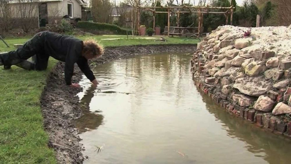 natuurvijver