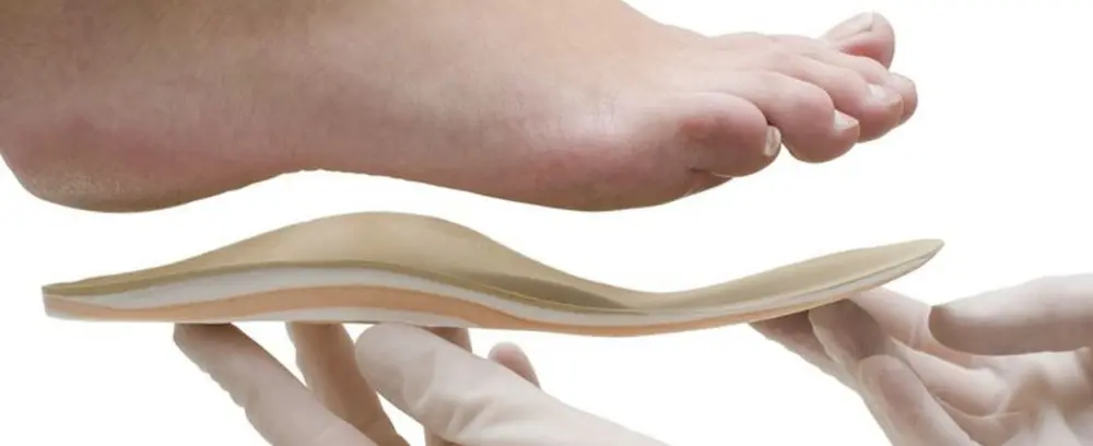 inlegzool inlegzolen vegan