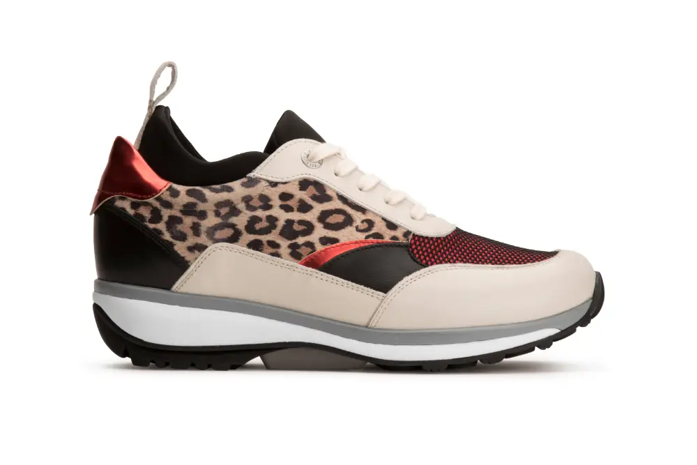 Met Xsensible op weg naar meer balans