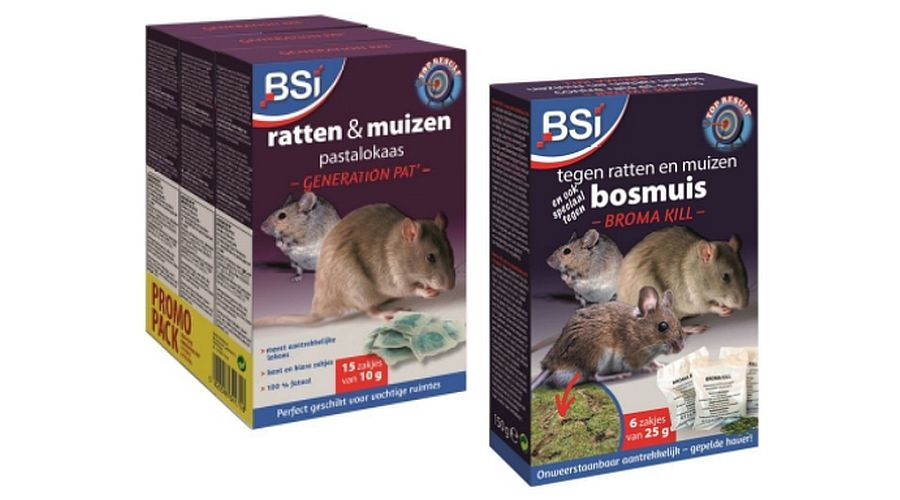 BSI