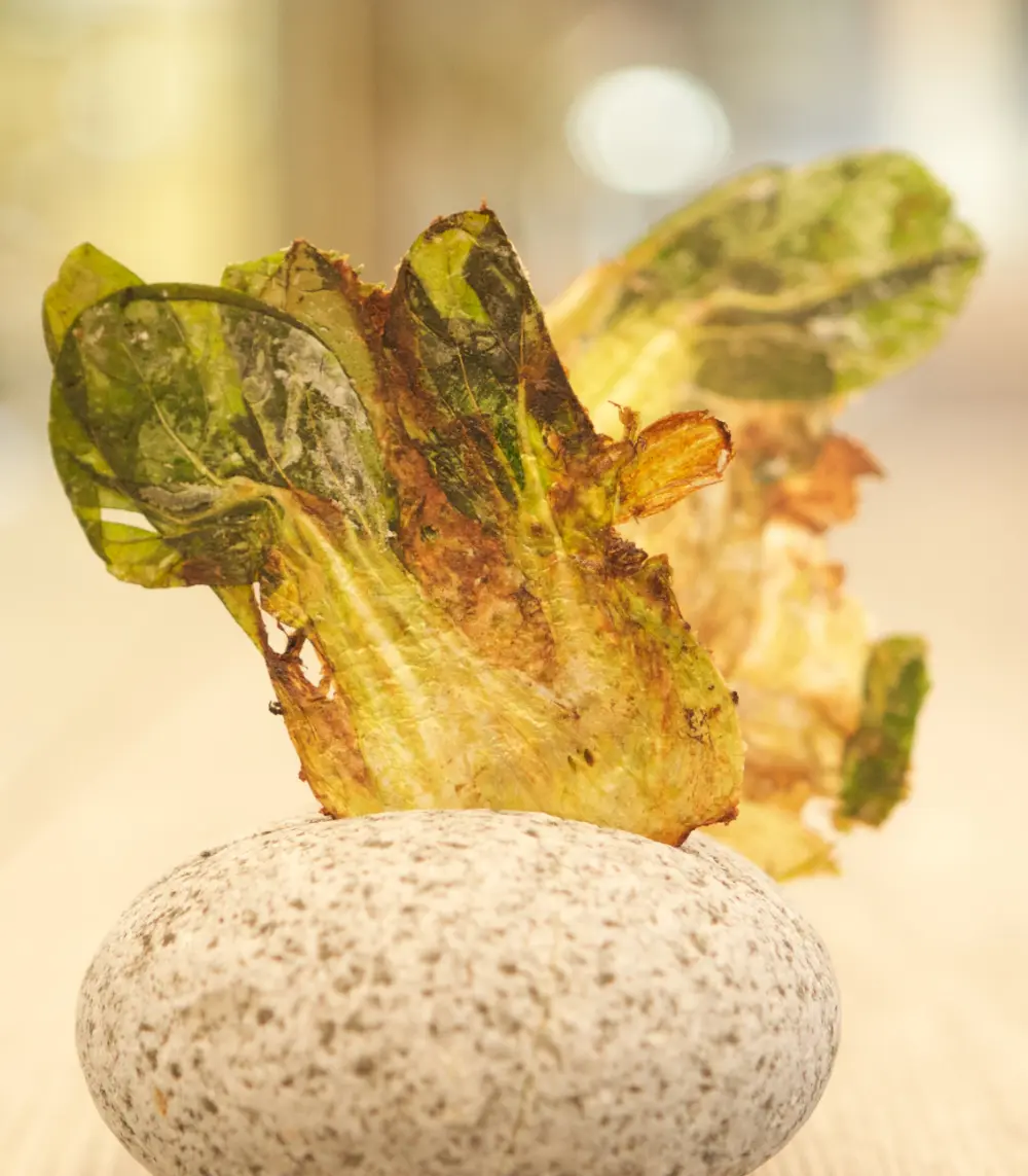 Innovation Award Gault&Millau 2019 squeezer topchef adrià ex-El Bulli Spanje