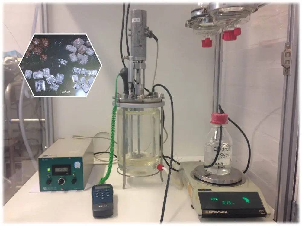 Reactor set-up at Wageningen Food and Biobased Research, for raw juice crystallization with ethanol as an anti-solvent