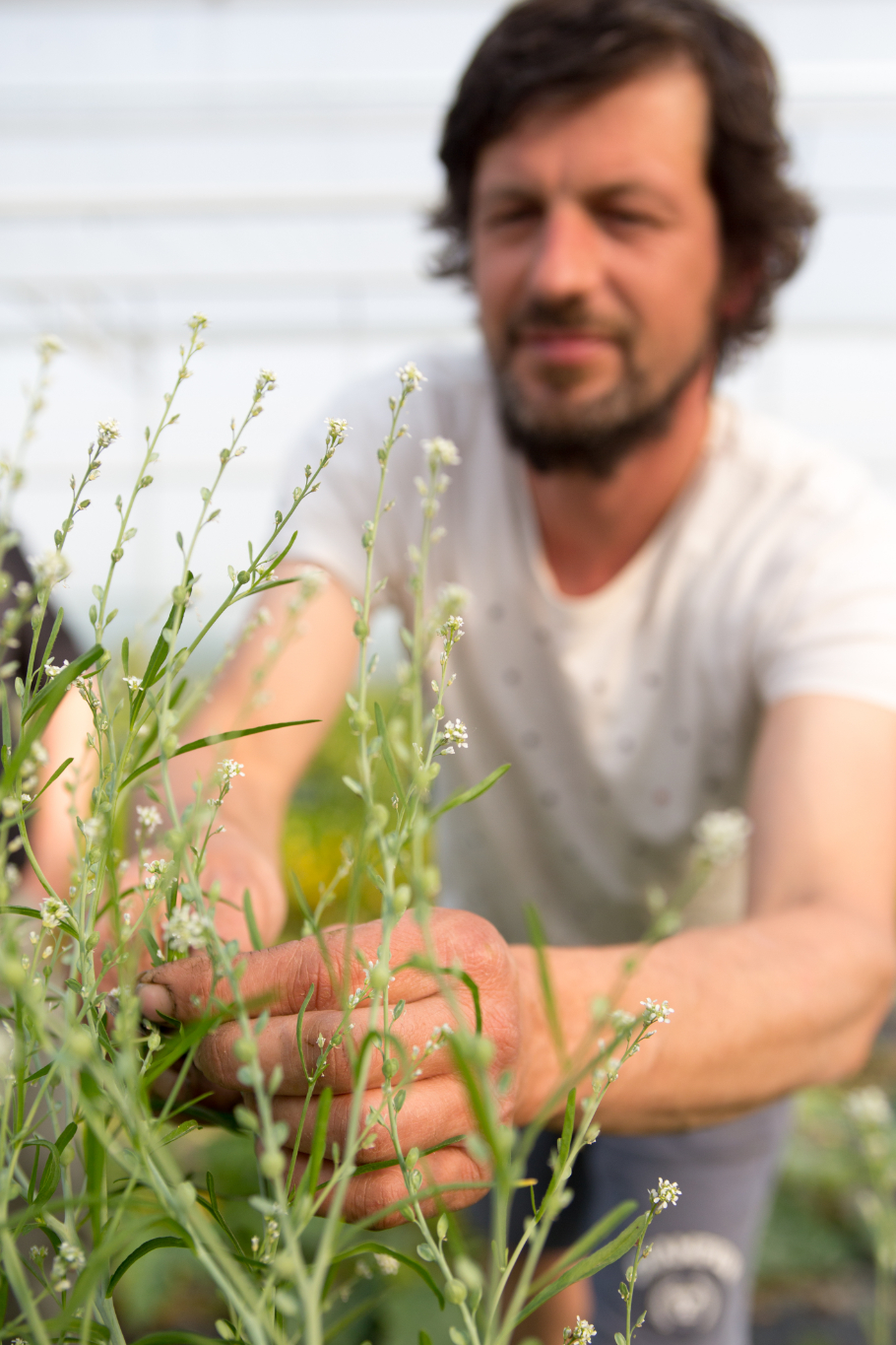 groentenboer Dries Belgocatering