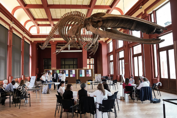 ZOO Antwerpen @Tom Cornille