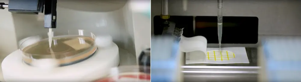 Petrifilm