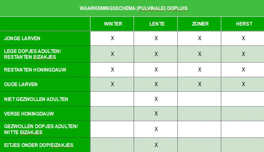 schema dopluis