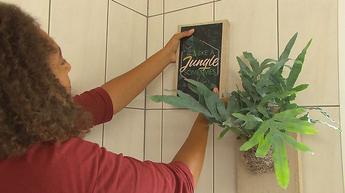 plante