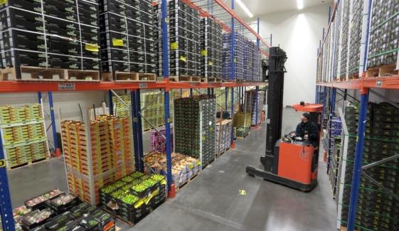 In metershoge rijpkamers stockeert het bedrijf zijn uitheemse groente- en fruitsoorten, om ze uiteindelijk eetrijp uit te voeren naar de retailers en foodservicebedrijven