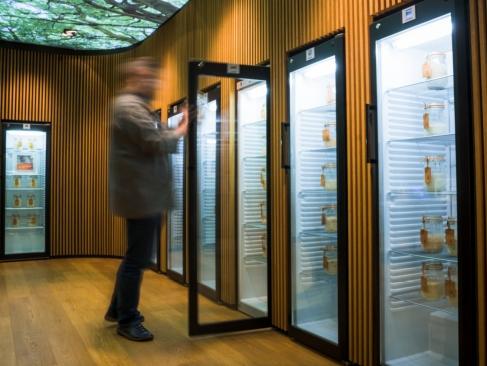 desem bibliotheek