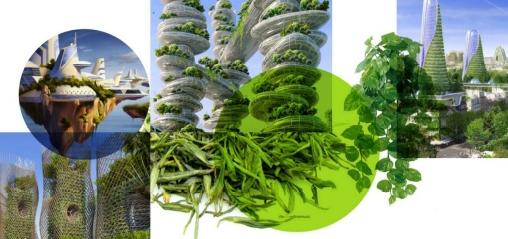 Un dessert vert émeraude pour le lancement de RaRe Chocolate