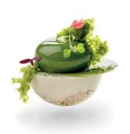 Un dessert vert émeraude pour le lancement de  RaRe Chocolate