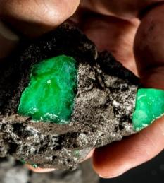 Een dessert in emeraldgroen, bij de lancering van RaRe Chocolate