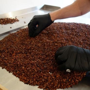 Chocolatoa heeft momenteel vier referenties 
chocolade in het assortiment