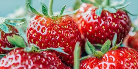 fraises