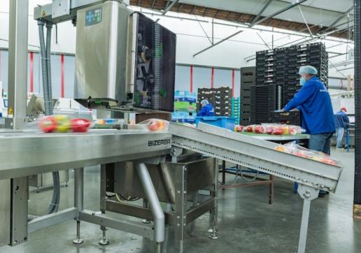 Aan de hand van data die eerder in de lijn verzameld zijn, zal de thermoprinter perfect moeten kunnen schakelen naar de juiste set gegevens voor op het verpakkingslabel