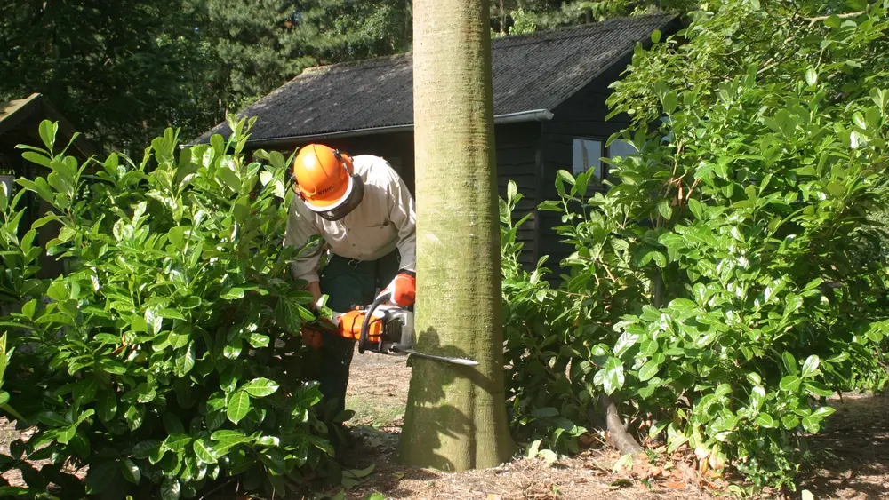 zaagsnedes kettingzaag