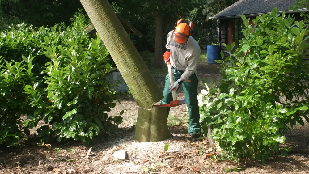 techniek kettingzaag