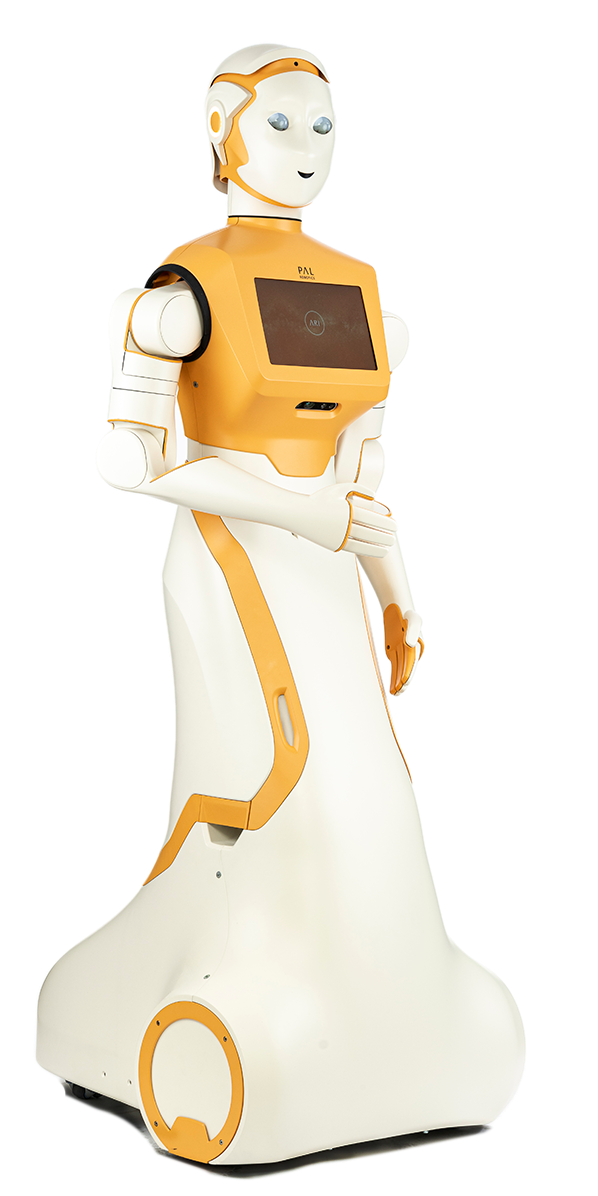Robot ARI