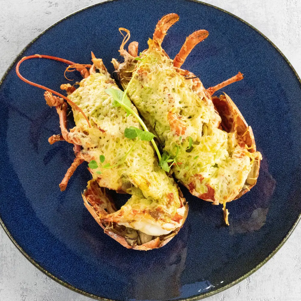 GEGRATINEERDE OOSTERSCHELDE KREEFT