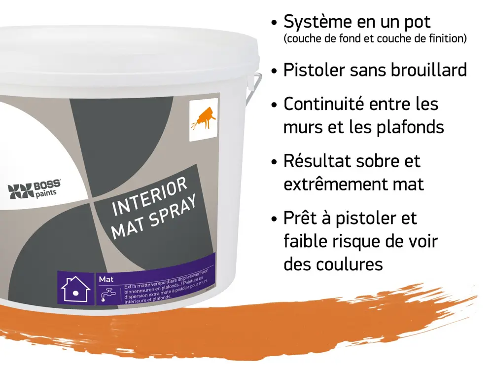 Interior Mat Spray