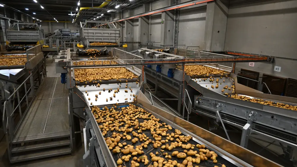 "Gezien de export dus zo belangrijk is voor onze sector, moeten wij de vrije wereldhandel te allen tijde blijven stimuleren", ijvert Vermeulen