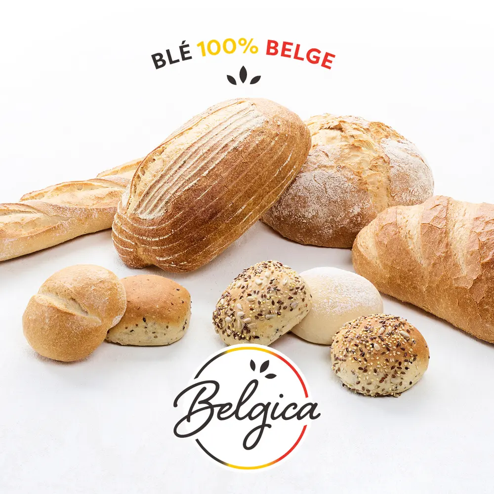 BLÉ 100% BELGE
