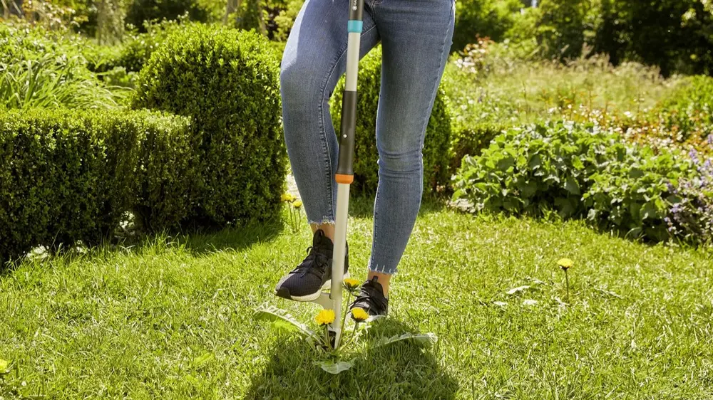 onkruidsteker gardena voorjaar mei tuinwerk april
