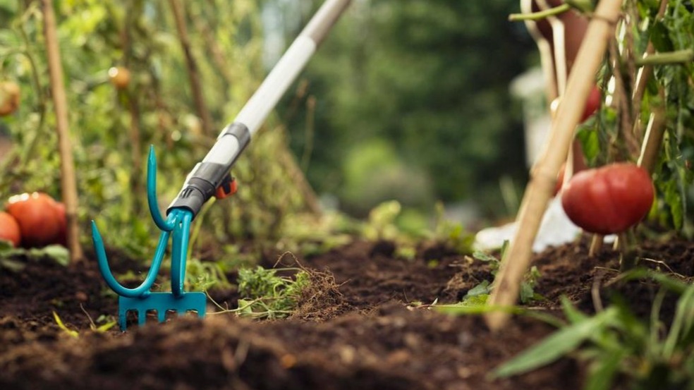 gardena onkruid verwijderen moestuin border onderhouden opstarten