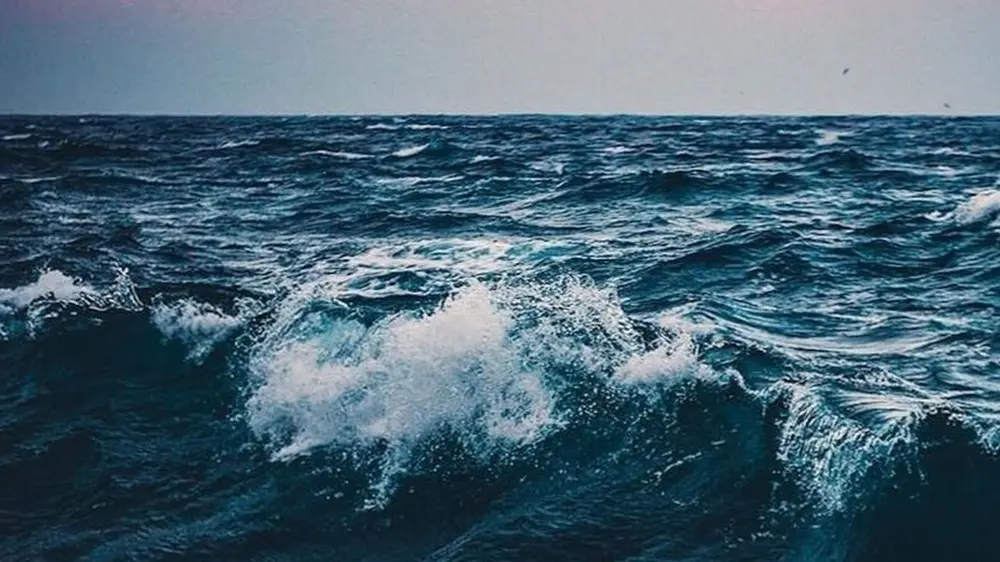 Ode aan de oceaan trends