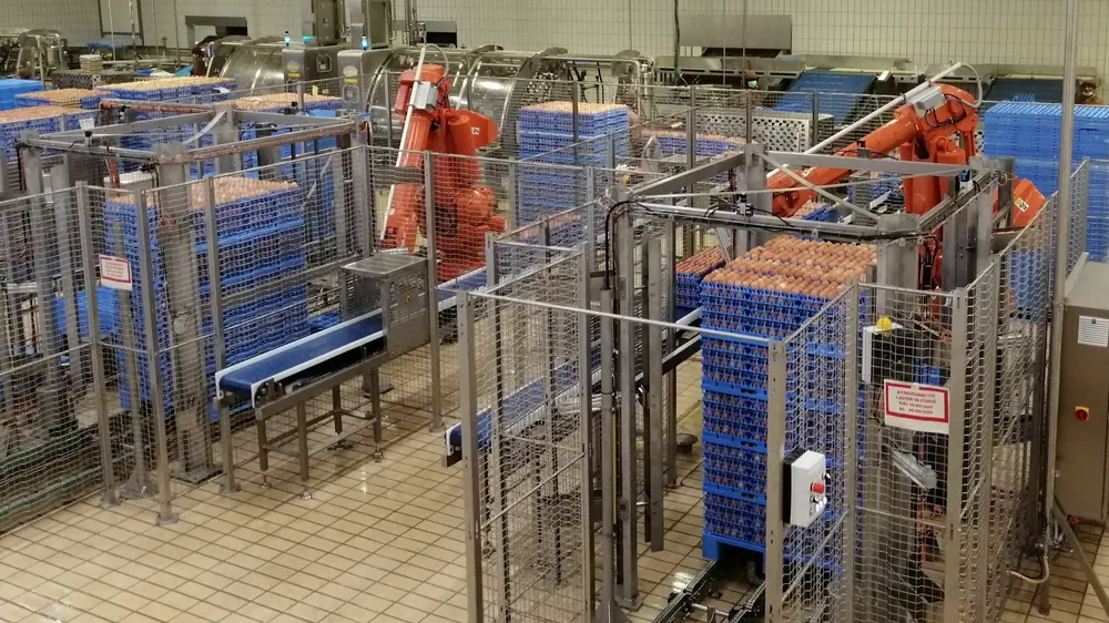 Met de overname van Fiduco Automatic BV versterkt Elsto Services haar positie op het gebied van robotisering en automatisering in de voedingsmiddelenindustrie, waaronder de (inter)nationale pluimveesector