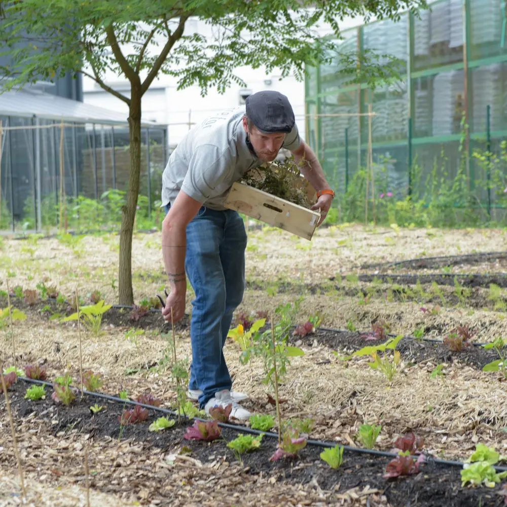 Care for tuin Carrefour Market