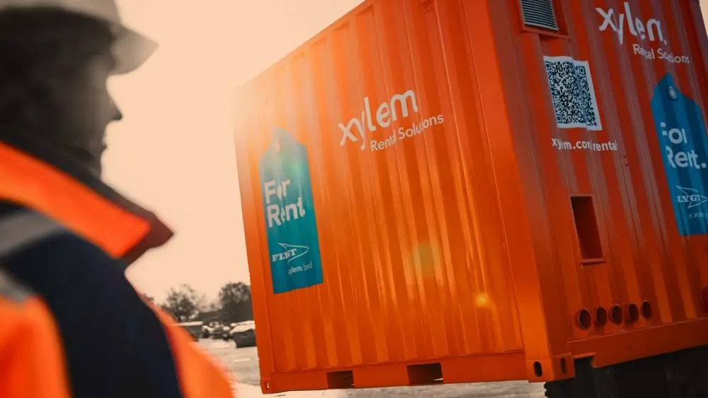Xylem
